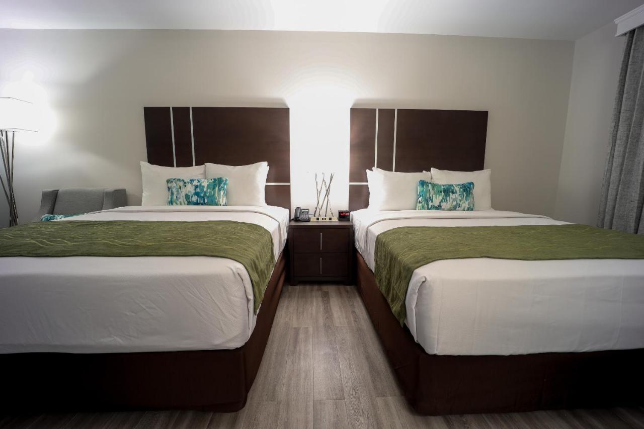 Signal Hill Comfort Inn & Suites Tobago מראה חיצוני תמונה