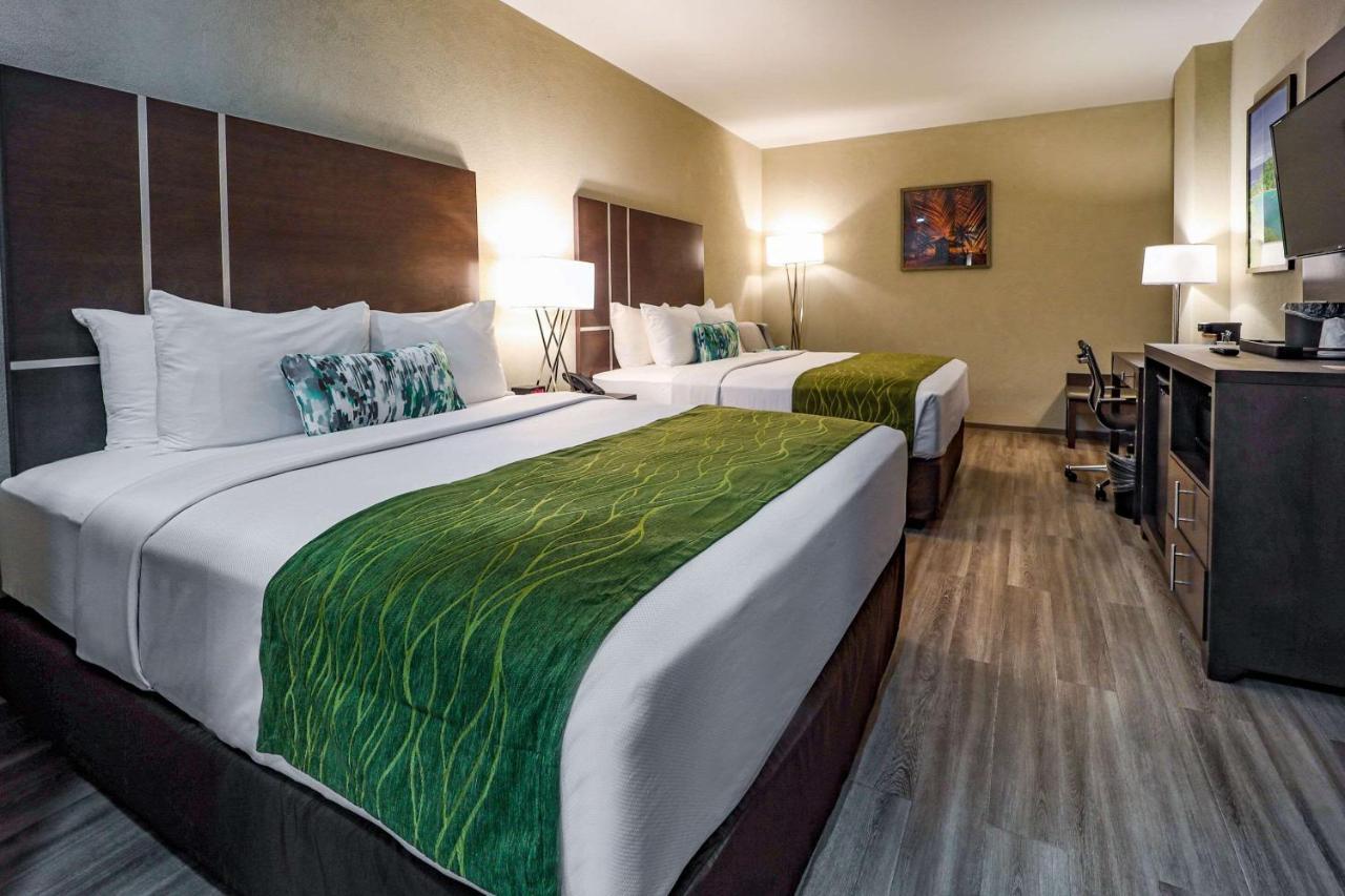 Signal Hill Comfort Inn & Suites Tobago מראה חיצוני תמונה
